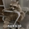 AUXILIO