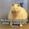 Paraguayita
No kiero saber na de
amor yo solo kiero
tacos