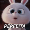 PERFEITA