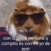 con la única persona q
compito es con mi yo de
ayer