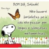 Para hoje:
128
BOM DIA, Sábado!
Não haverá
borboletas se a
vida não
passar por
longas e silenciosas
metamorfoses.
-humor inteligente
RUBEM ALVES
WWW.IMAGEMWHATS.COM B