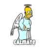 Conciencia de Homero 12
