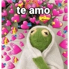 Temestapaixonados T
te amo