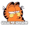 Garfield Grosero 14