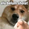 Memes for you :) 11