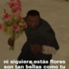 ni siquiera estás flores
son tan bellas como tu