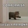 COMPERMISA
LLEGÓ LA PATRONA