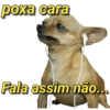 BEST MEMES ENGRAÇADO S 14
