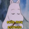 RESPOSTA PARA TUDO  13