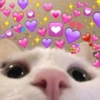 Muero De Amor 18