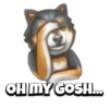 Pet reactions 13