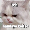 Cutie cat 6