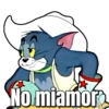 No miamor