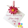 Good Morning 9