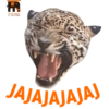 Habitantes del zoo 15