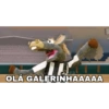 Cavalinho do Botafogo 24