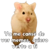 💞🐹Hamstercitos De Amor🐹💞 5