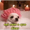 MEMES ANIMAIS  15