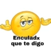 Memes pa' ligar 1 17