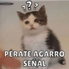 ? ? ?
PÉRATE AGARRO
SEÑAL