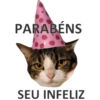 Chicória Maria #1 7