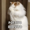 POFAVO
DIOSITO
