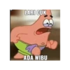 Petrik 15
