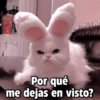 Payi
Por qué
me dejas en visto?