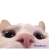 Los voy a Matar 🥵 17