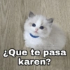 @Harley Stickers
¿Que te pasa
karen?