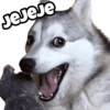 🐶 Perritos Husky ❤️ 8
