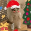초