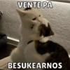 VENTE PA
BESUKEARNOS
