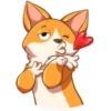 Cute dog 9