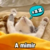 Payi
ZZZ
A mimir