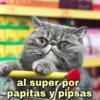 🐱Gatitos Shitposting 1🐈 13