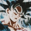 Goku 5
