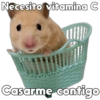 💞🐹Hamstercitos De Amor🐹💞 6