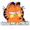 Garfield Grosero 13