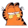 Garfield Grosero 10