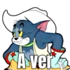Asver