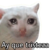 MEMES MEMES 3 6