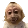 Stickers without context 11