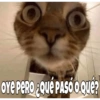 Chismesito para todos 30