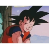 Goku 30