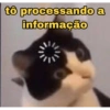 tô processando a
informação