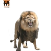 Habitantes del zoo 16