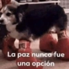 La paz nunca fue
una opción