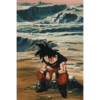 Goku 21