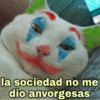 🐱Gatitos Shitposting 1🐈 16